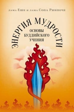 Энергия мудрости. Основы буддийского учения